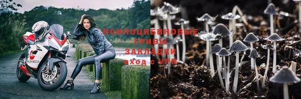 spice Алексин