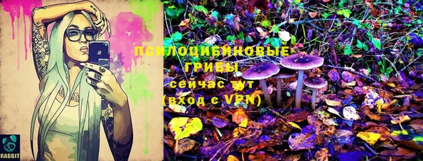spice Алексин
