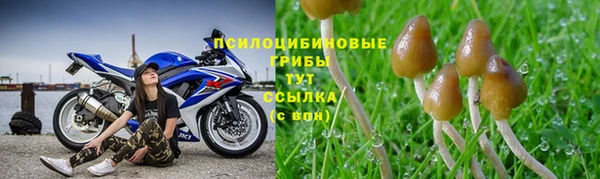 spice Алексин