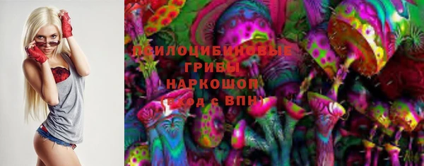 spice Алексин