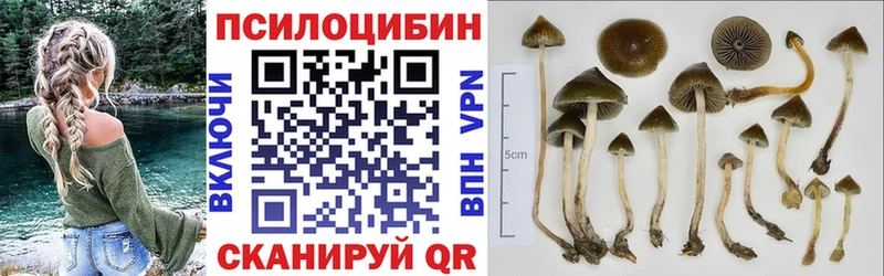 Псилоцибиновые грибы ЛСД  Купить  Крым 
